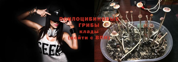 Альфа ПВП Алексин