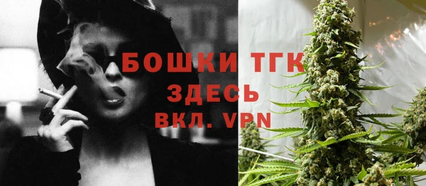 гашик Алексеевка